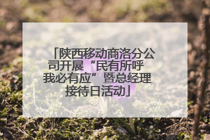 陕西移动商洛分公司开展“民有所呼 我必有应”暨总经理接待日活动