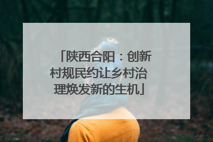 陕西合阳：创新村规民约让乡村治理焕发新的生机