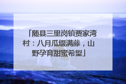 随县三里岗镇贾家湾村：八月瓜缀满藤，山野孕育甜蜜希望