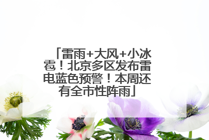 雷雨+大风+小冰雹！北京多区发布雷电蓝色预警！本周还有全市性阵雨
