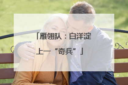 雁翎队：白洋淀上一“奇兵”