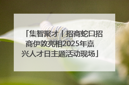 集智聚才丨招商蛇口招商伊敦亮相2025年嘉兴人才日主题活动现场