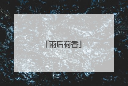 雨后荷香