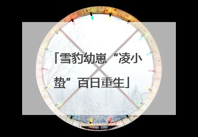 雪豹幼崽“凌小蛰”百日重生