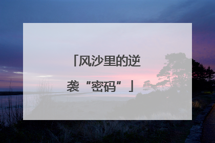风沙里的逆袭“密码”