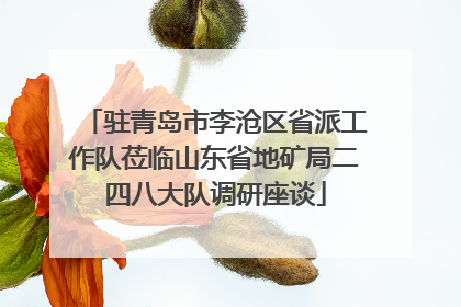 驻青岛市李沧区省派工作队莅临山东省地矿局二四八大队调研座谈