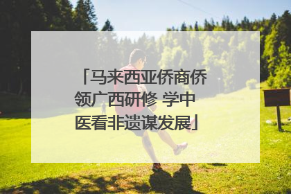 马来西亚侨商侨领广西研修 学中医看非遗谋发展