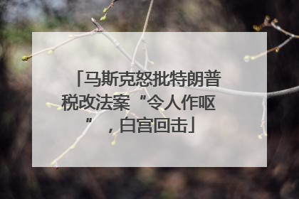 马斯克怒批特朗普税改法案“令人作呕”，白宫回击