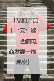 高原产品上“云”端——西藏电商发展一线观察