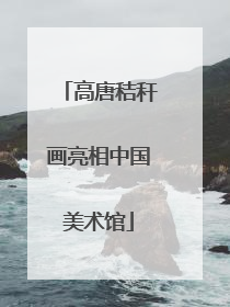 高唐秸秆画亮相中国美术馆