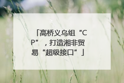 高桥义乌组“CP”，打造湘非贸易“超级接口”