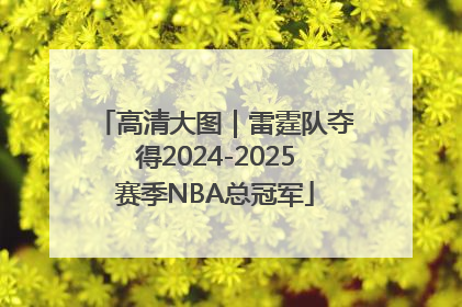 高清大图｜雷霆队夺得2024-2025赛季NBA总冠军