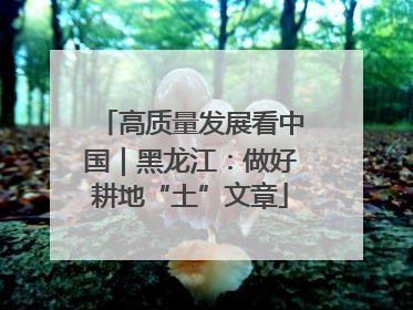 高质量发展看中国｜黑龙江：做好耕地“土”文章