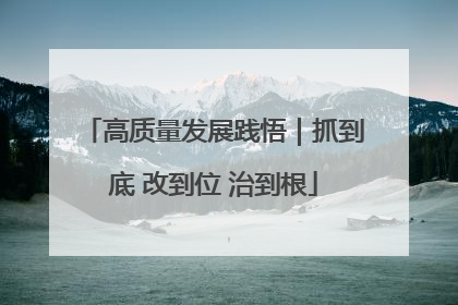 高质量发展践悟｜抓到底 改到位 治到根