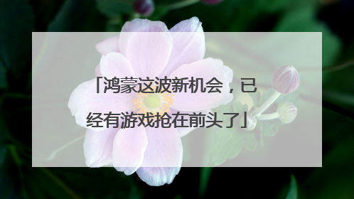 鸿蒙这波新机会，已经有游戏抢在前头了