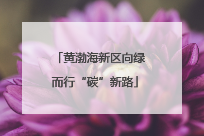 黄渤海新区向绿而行“碳”新路