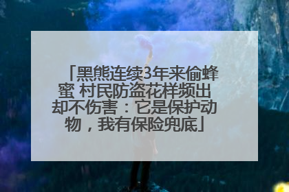 黑熊连续3年来偷蜂蜜 村民防盗花样频出却不伤害：它是保护动物，我有保险兜底