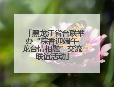 黑龙江省台联举办“粽香迎端午·龙台情相融”交流联谊活动