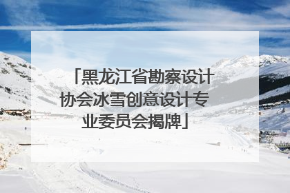 黑龙江省勘察设计协会冰雪创意设计专业委员会揭牌