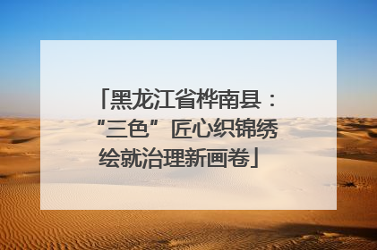 黑龙江省桦南县：“三色”匠心织锦绣 绘就治理新画卷