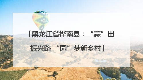 黑龙江省桦南县：“蒜”出振兴路 “园”梦新乡村