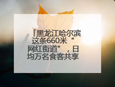 黑龙江哈尔滨这条660米“网红街道”，日均万名食客共享“平安滋味”