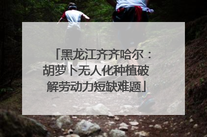 黑龙江齐齐哈尔：胡萝卜无人化种植破解劳动力短缺难题