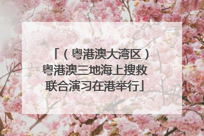 （粤港澳大湾区）粤港澳三地海上搜救联合演习在港举行