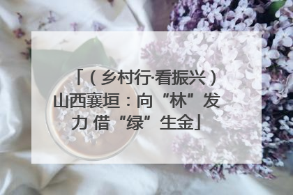 （乡村行·看振兴）山西襄垣：向“林”发力 借“绿”生金