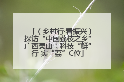 （乡村行·看振兴）探访“中国荔枝之乡”广西灵山：科技“鲜”行 实“荔”C位