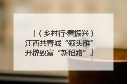 （乡村行·看振兴）江西共青城“领头雁”开辟致富“新稻路”