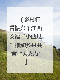（乡村行·看振兴）江西安福“小西瓜”撬动乡村共富“大支点”