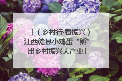（乡村行·看振兴）江西赣县小鸡蛋“孵”出乡村振兴大产业