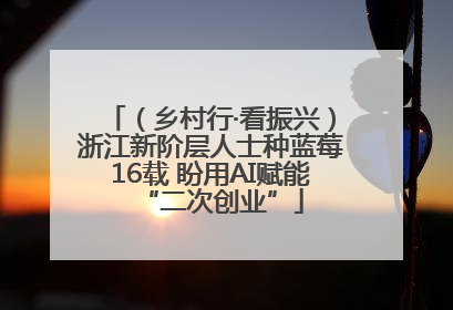 （乡村行·看振兴）浙江新阶层人士种蓝莓16载 盼用AI赋能“二次创业”