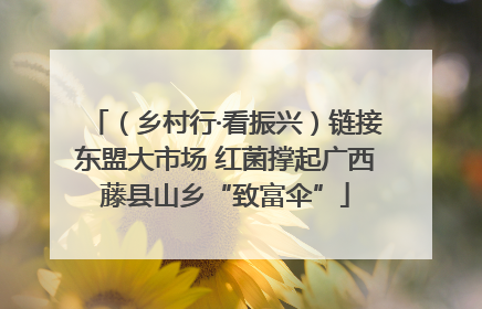 （乡村行·看振兴）链接东盟大市场 红菌撑起广西藤县山乡“致富伞”