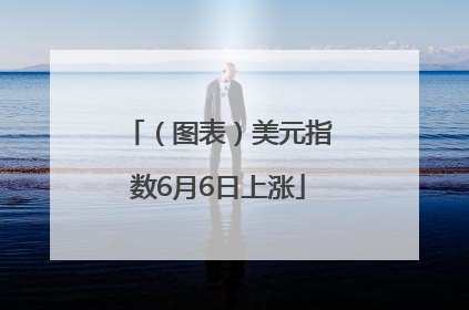 （图表）美元指数6月6日上涨