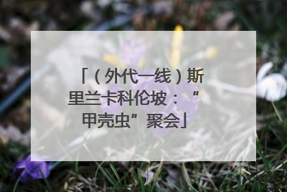 （外代一线）斯里兰卡科伦坡：“甲壳虫”聚会