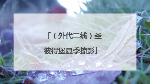 （外代二线）圣彼得堡夏季掠影