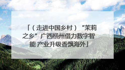 （走进中国乡村）“茉莉之乡”广西横州借力数字智能 产业升级香飘海外