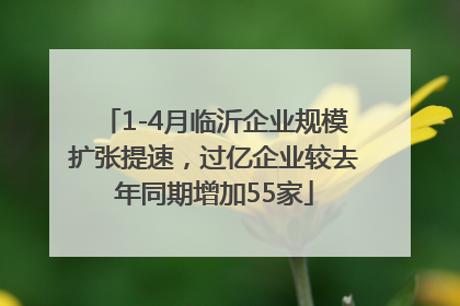 1-4月临沂企业规模扩张提速，过亿企业较去年同期增加55家