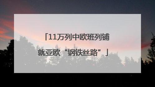 11万列中欧班列铺就亚欧“钢铁丝路”