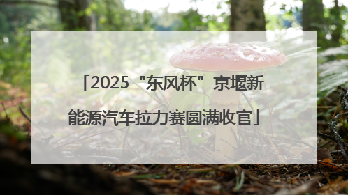 2025“东风杯”京堰新能源汽车拉力赛圆满收官