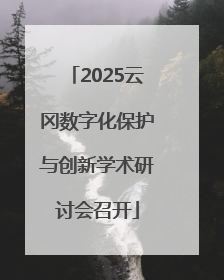 2025云冈数字化保护与创新学术研讨会召开