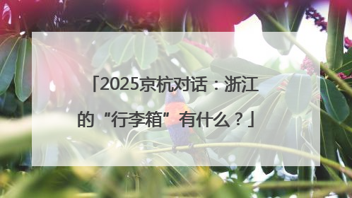 2025京杭对话：浙江的“行李箱”有什么？