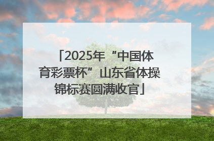 2025年“中国体育彩票杯”山东省体操锦标赛圆满收官