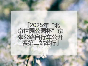 2025年“北京世园公园杯”京张公路自行车公开赛第二站举行