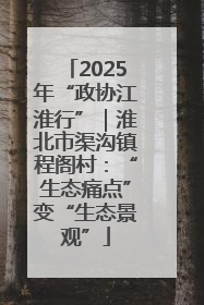 2025年“政协江淮行”｜淮北市渠沟镇程阁村：“生态痛点”变“生态景观”