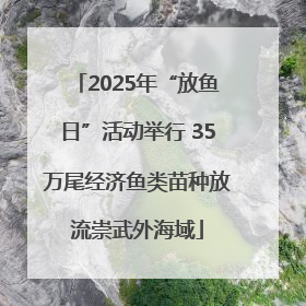 2025年“放鱼日”活动举行 35万尾经济鱼类苗种放流崇武外海域
