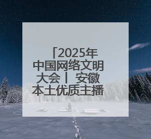 2025年中国网络文明大会丨 安徽本土优质主播“熊猫1108”：做更多正能量的事情 带给大家快乐