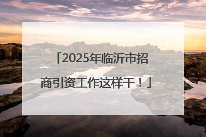 2025年临沂市招商引资工作这样干！